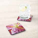 Stargazer Lily Cork Coaster Set