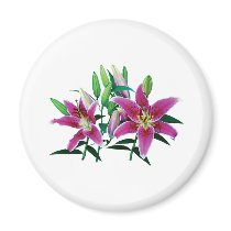 Stargazer Lily Family magnets