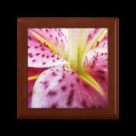Stargazer Lily Gift Box