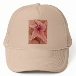 Stargazer Lily in Pastel hats