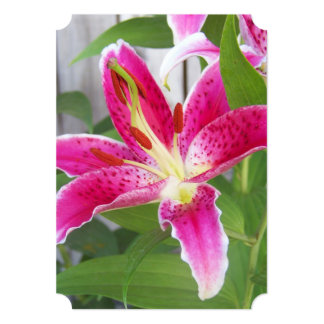 Stargazer Lily Wedding Invitations The Blue Water Lily Wedding Invitation