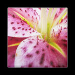 Stargazer Lily Magnet