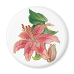 Stargazer Lily Refrigerator Magnet