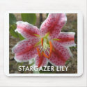 STARGAZER LILY mouse pad mousepads