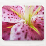 Stargazer Lily Mousepad