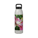 Stargazer Lily Painting Floral Reusable Water Bottle