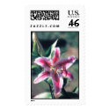 Stargazer Lily Postage postage by WeezelTeez Stargazer Lily Postage postage