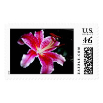 StarGazer Lily postage