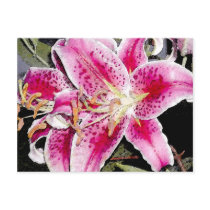 Stargazer Lily Postcard