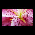 Stargazer Lily Print