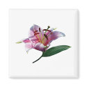 Stargazer Lily Profile Gifts magnet