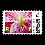 Stargazer Lily RSVP Stamp