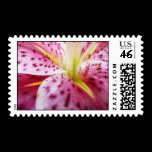 Stargazer Lily Stamp