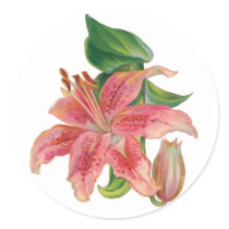 Stargazer Lily stickers by Memory_Lane Stargazer Lily stickers