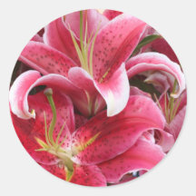 Stargazer Lily Stickers