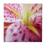 Stargazer Lily Tile