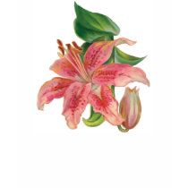 Stargazer Lily t-shirts by Memory_Lane Stargazer Lily t-shirts