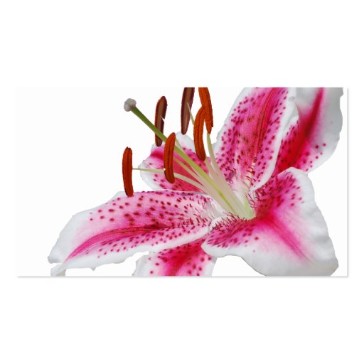 Stargazer Lily Wedding Place Cards Business Card Templates (back side)