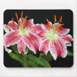 Stargazer Mouse Pad
