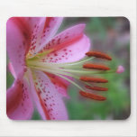 Stargazer mousepads