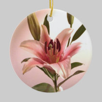 Stargazer Ornament ornaments