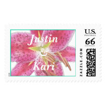 stargazer postage