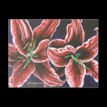 stargazer postcards