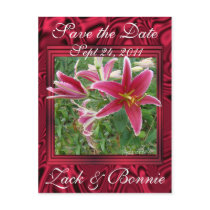 Stargazer-save the date-customize postcards