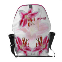 Stargazer Silhouette Rickshaw Messenger Bag messenger bags