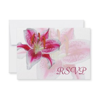 Stargazer Silhouette RSVP cards Custom Invites