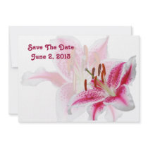 Stargazer Silhouette Save The Date Card Invitation