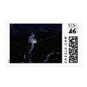Stargazer stamp
