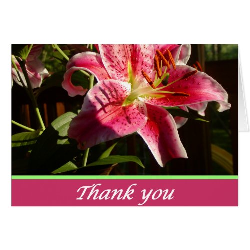 Stargazer - Thank you Cards, pink stargazer lily with a pink section on the bottom with Thank You in white over pink