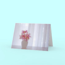 Stargazer white I cards