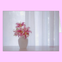 Stargazer white I cards