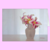 Stargazer white II cards