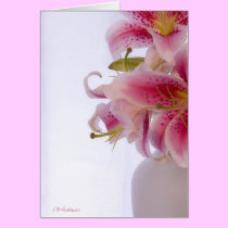 Stargazer white III cards