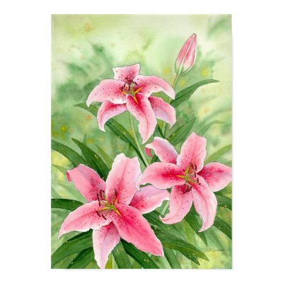 stargazerlilies print by bmoussart