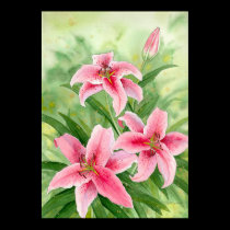 stargazerlilies print