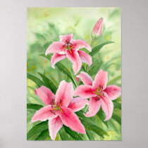 stargazerlilies print posters