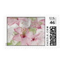 Stargazers and Roses Postage postage