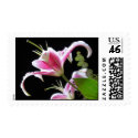 Stargazers postage by nikimoto Stargazers postage