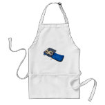 StarGazing081510 aprons