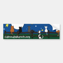 'Stargazing' Bumper Sticker