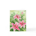 Stargazing note card