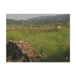 Stari Grad Plain Post Cards