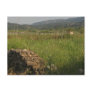 Stari Grad Plain Post Cards