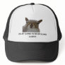 Staring Contest the Hat
