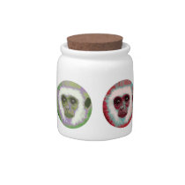 Staring Monkey face candy jar candy jars