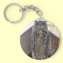 Staring owl keychains